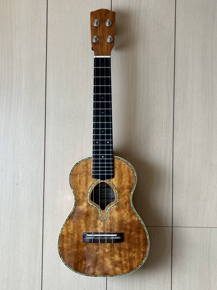 レイラニ コンサート オリジナル拍卖