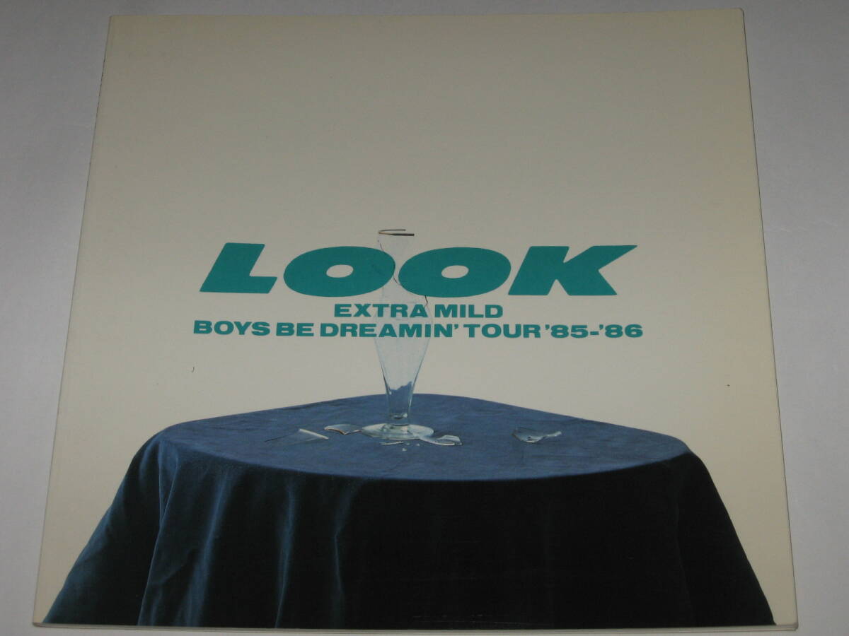 パンフレット LOOK EXTRA MILD BOYS BE DREAMIN'TOUR 85-86/ルック/鈴木トオル拍卖
