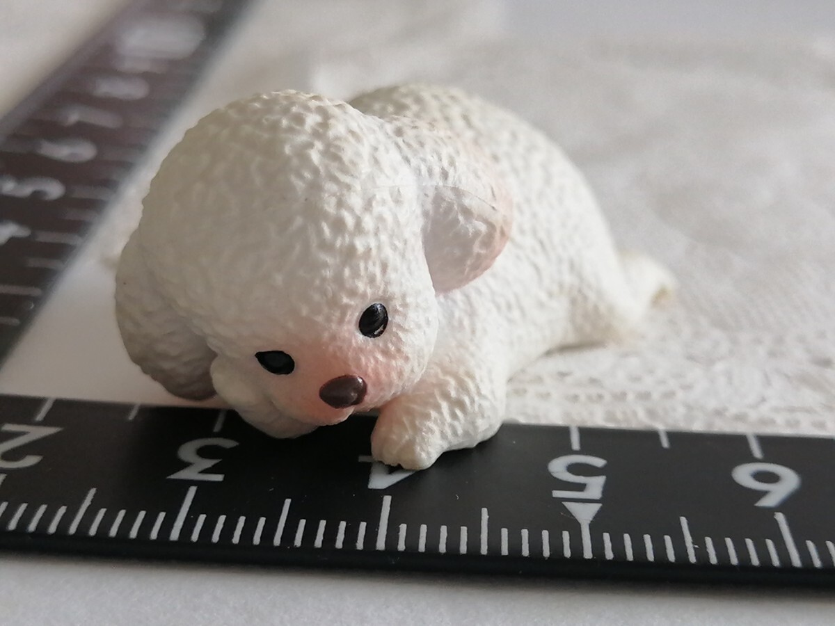 4r530 ドール用 ペット トイプードル ピュアニーモ リカちゃん momoko バービー ジェニー 1/6ドール拍卖