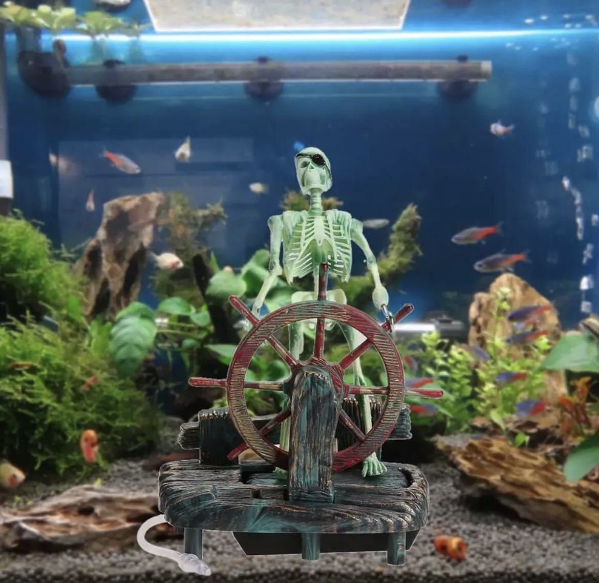 LHH753★水槽用の装飾 海賊 キャプテン 水槽 スケルトン 運転 ホイール 骸骨 ドクロ 髑髏 インテリア オブジェ 装飾品 飾り 魚拍卖