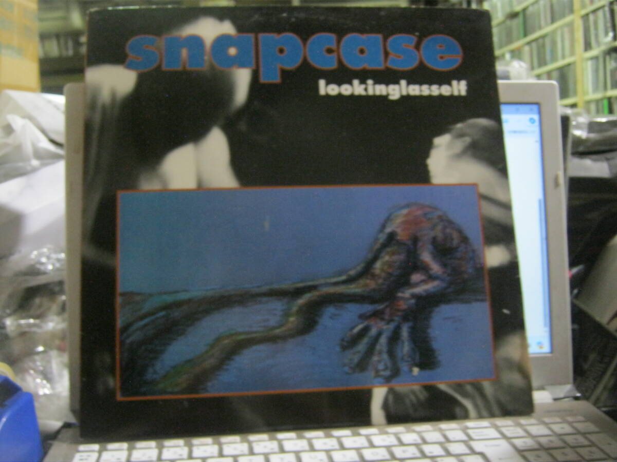 SNAPCASE / LOOKINGLASSELF U.S.LP Warzone Black Train Jack Cause For Alarm Refused 25 Ta Life Sicko MDC Channel 3 No Use For A Name拍卖