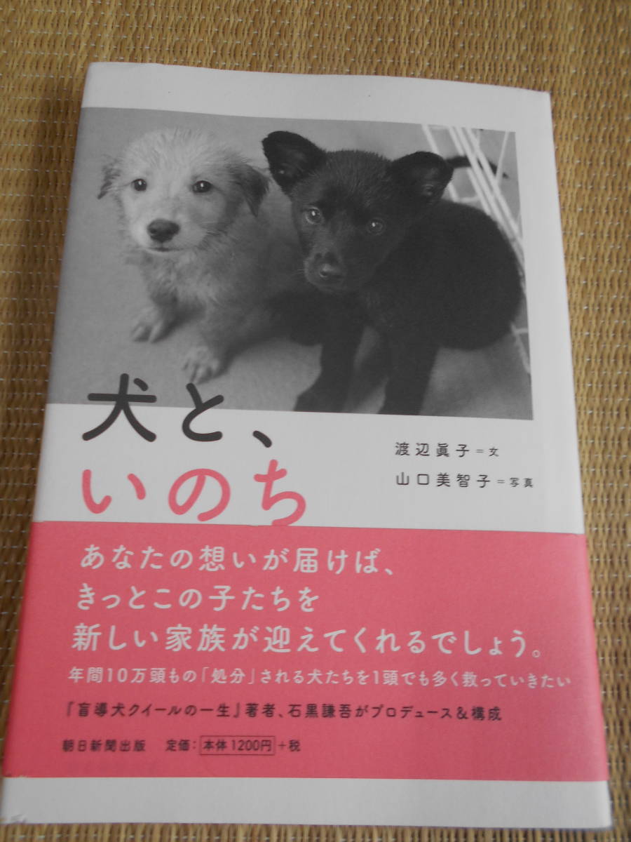 犬といのち拍卖