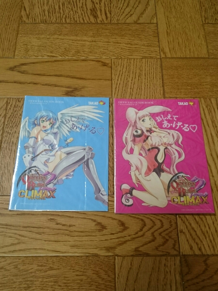 クイーンズブレイド クライマックス QUEENS BLADE 2冊 パチンコ 小冊子 ガイドブック 遊技カタログ 希少品 入手困難【管理YF2QB】拍卖