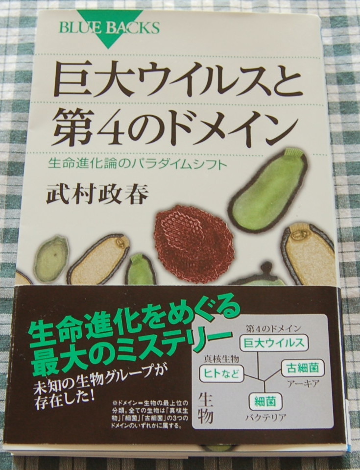 【送料無料】武村政春【巨大ウイルスと第4のドメイン 生命進化論のパラダイムシフト (ブルーバックス) 】中古拍卖