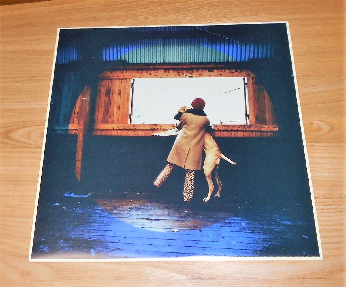 ■ボニー・ピンク(BONNIE PINK)12インチ・カラー(紫マーブル)盤【犬と月】トーレ・ヨハンソン♪♪拍卖