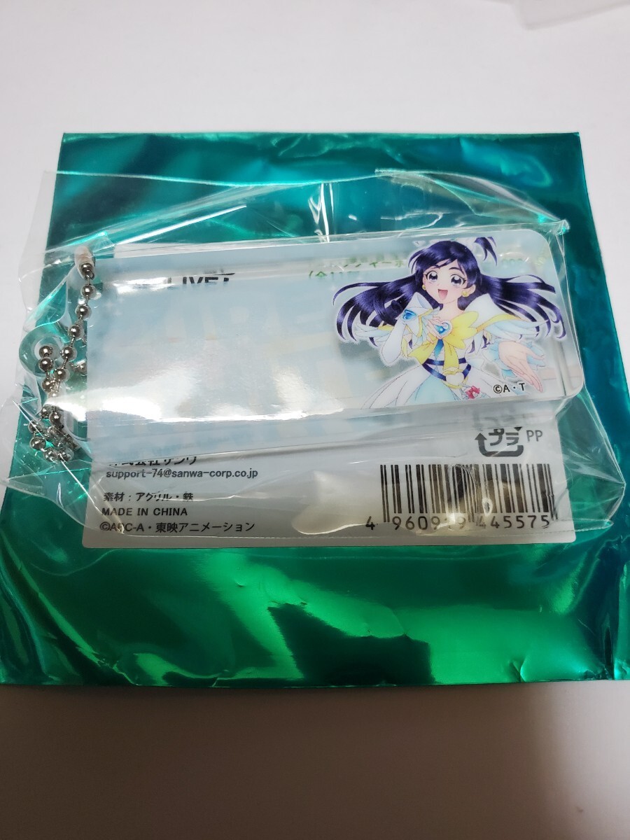 キュアホワイト 全プリキュア 20th Anniversary LIVE! アクリルブロックキーホルダー 2004~2008 数量2拍卖