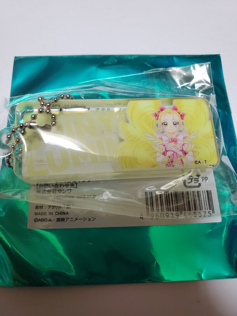 シャイニールミナス 全プリキュア 20th Anniversary LIVE! アクリルブロックキーホルダー 2004~2008拍卖