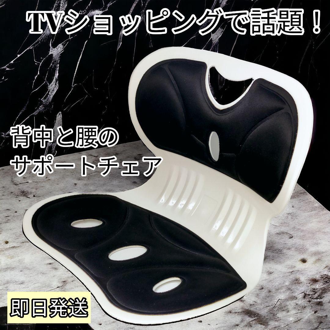 骨盤 姿勢矯正 腰と背中 サポートチェア 腰痛 猫背防止 正しい姿勢 美しい姿勢拍卖