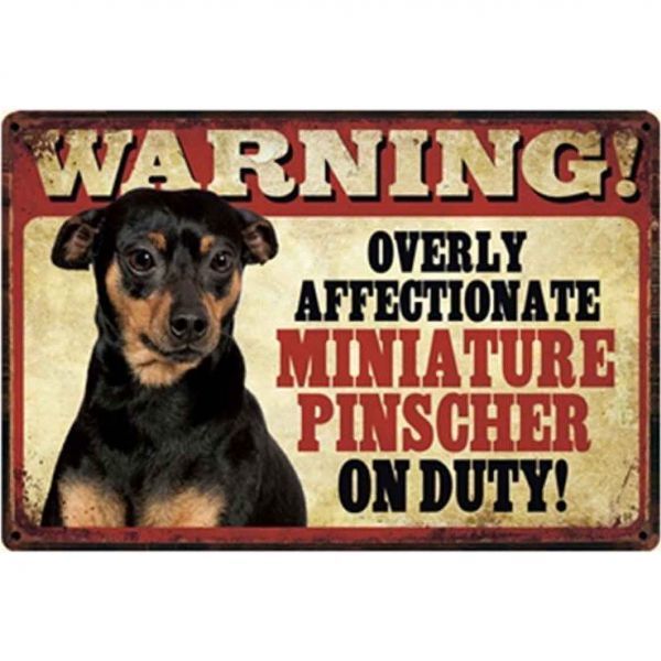 A412 メタル サイン ブリキ 看板 金属 プレート 注意 警告 危険 防犯 動物 ペット 猛 犬 番犬 ミニチュア ピンシャー 3116拍卖