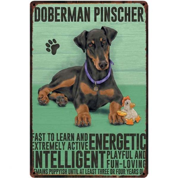 A1686 メタル サイン ブリキ 看板 金属 プレート アート パネル 店 注意 動物 ペット 愛 犬 ドーベルマン ピンシャー 1605拍卖