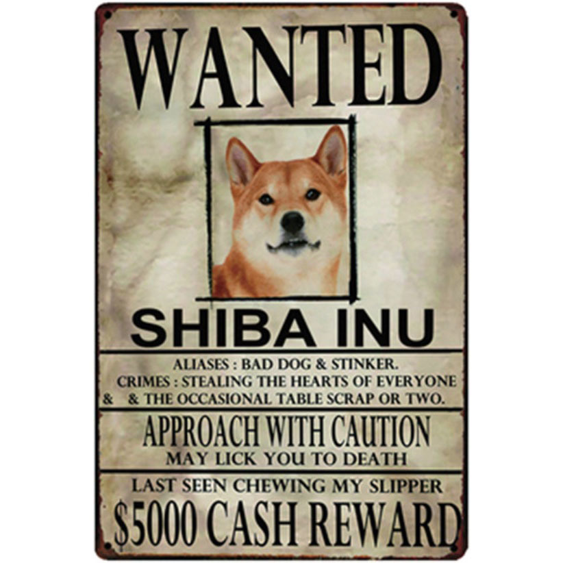 A2438 メタル サイン ブリキ 看板 金属製 プレート アート パネル 動物 ペット 募集 求む 探してます 犬 愛犬 柴犬 9954拍卖