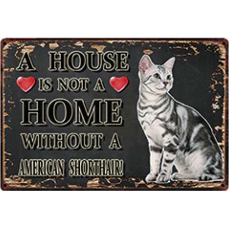 A3386 メタル サイン ブリキ 看板 金属 プレート パネル 注意 危険 動物 ペット 猫 アメリカン ショート ヘア アメショ 3238拍卖
