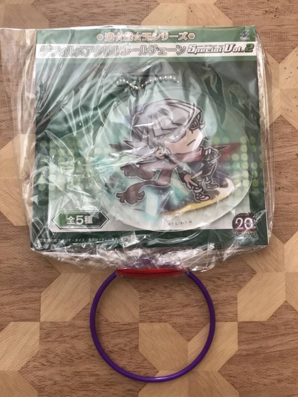 未開封品 遊戯王シリーズ Special Vol.2 デフォルメアクリルボールチェーン  赤馬零児 2402m59拍卖