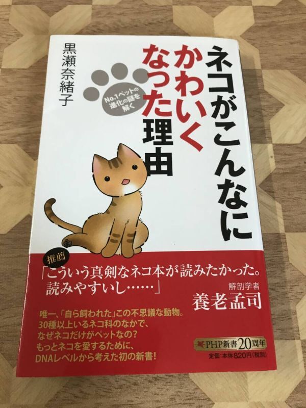 中古本 黒瀬奈緒子/著 ネコがこんなにかわいくなった理由 No.1ペットの進化の謎を解く 2404m99拍卖