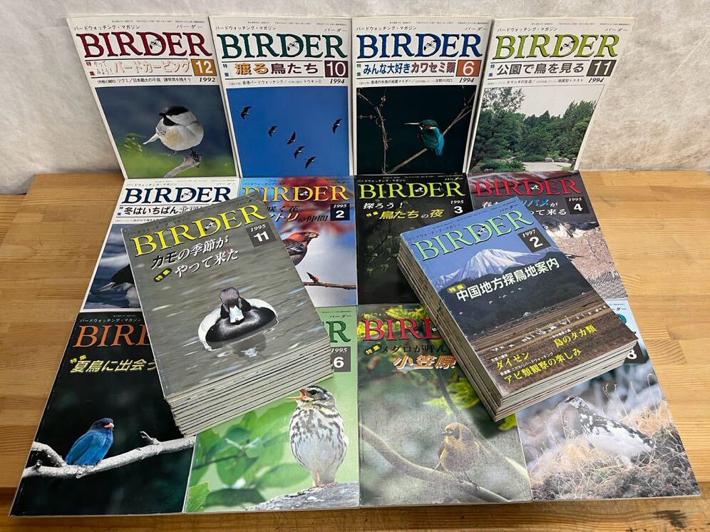 U96◇一部通年揃いあり【バードウォッチング・マガジン BIRDER (バーダー)1992〜1997 計38冊 】クロツラヘラサギ ツバメ240527拍卖