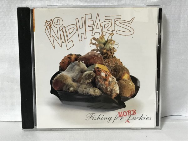 G268 ドイツ盤 / THE WILDHEARTS / FISHING FOR MORE LUCKIES (0630-12850-2) ザ・ワイルドハーツ GINGER ジンジャー拍卖