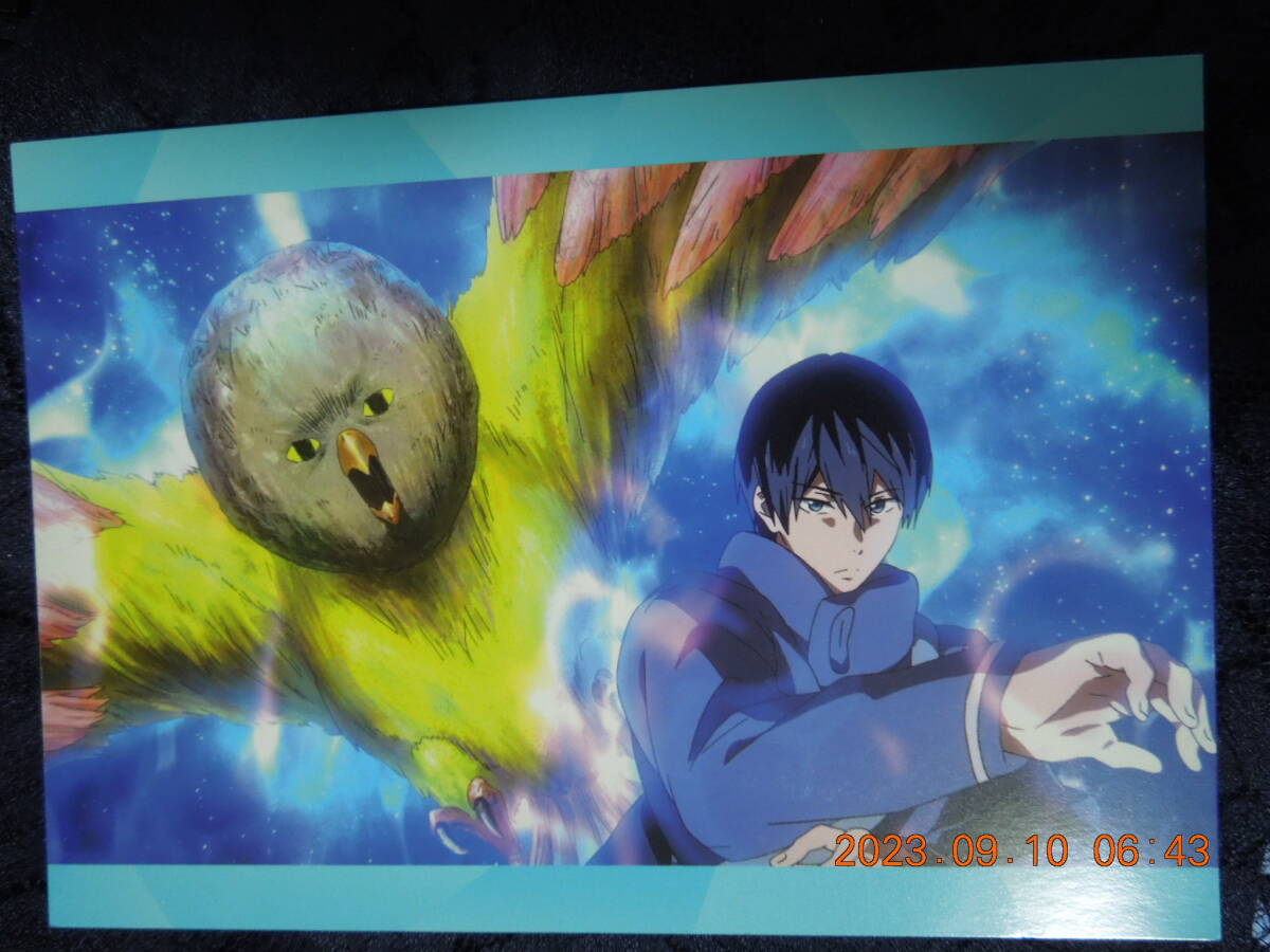 七瀬遙 イワトビちゃん ポストカード /「劇場版 Free!-the Final Stroke-」/ イラストカード拍卖