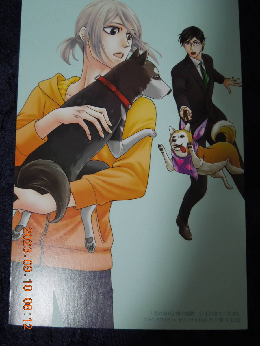 犬の幸せと僕の憂鬱 両面イラスト & 漫画 カード / 上川きち / コミコミスタジオオリジナル特典拍卖