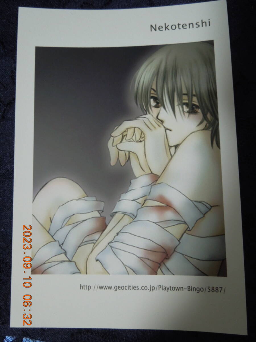 同人 テニスの王子様 ポストカード / 日吉若 / Nekotenshi ④ / イラストカード拍卖