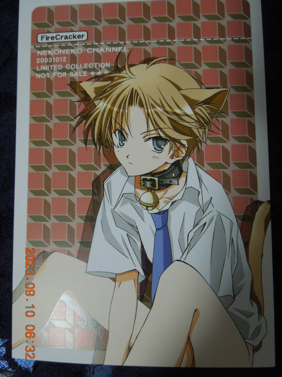 同人 テニスの王子様 ポストカード / 跡部景吾 / Fire Cracker 星野志保 / イラストカード拍卖