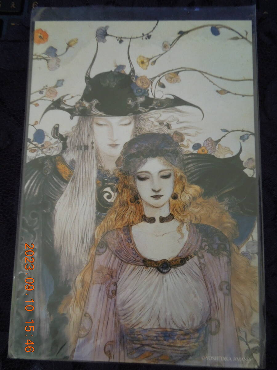 天野喜孝 ポストカード / 花と騎士 / イラストカード拍卖