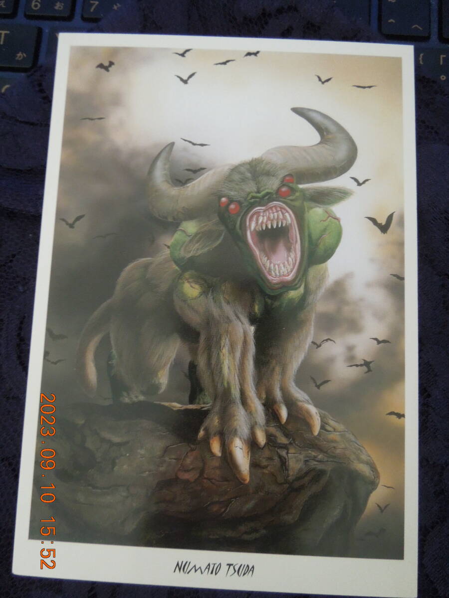 津田沼人 ポストカード / 本の島 / モンスター ファンタジー / イラストカード拍卖