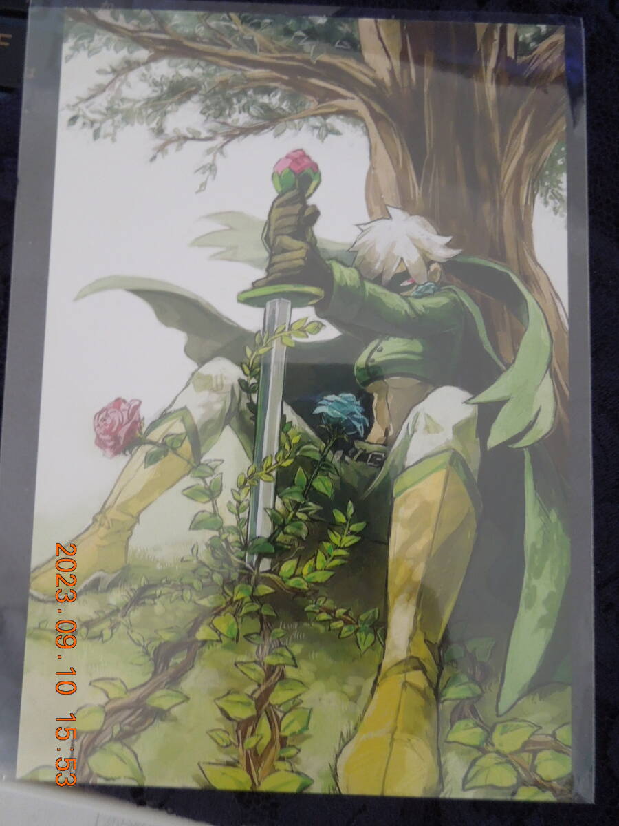 同人 オリジナル? ポストカード / 緑の仮面の女性剣士 ファンタジー / Aida / イラストカード拍卖