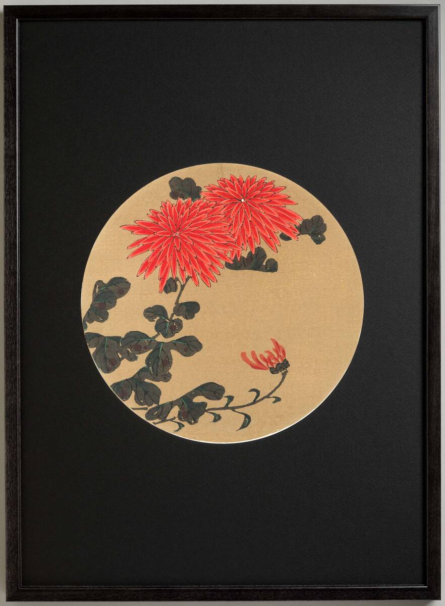 真作保証 若冲用丸窓額入り 伊藤若冲 格天井花画 木版画 紅菊 初版 明治期 若冲の晩年の作品を木版画で楽しむ!!拍卖