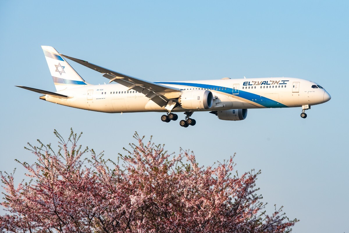 飛行機 デジタル画像 ボーイング787 エルアル航空 1拍卖