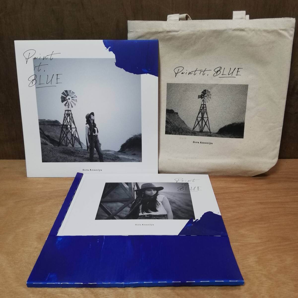 雨宮天 / SORA AMAMIYA - Paint it, BLUE (完全生産限定盤) CD DVD ブックレット バッグ 拍卖