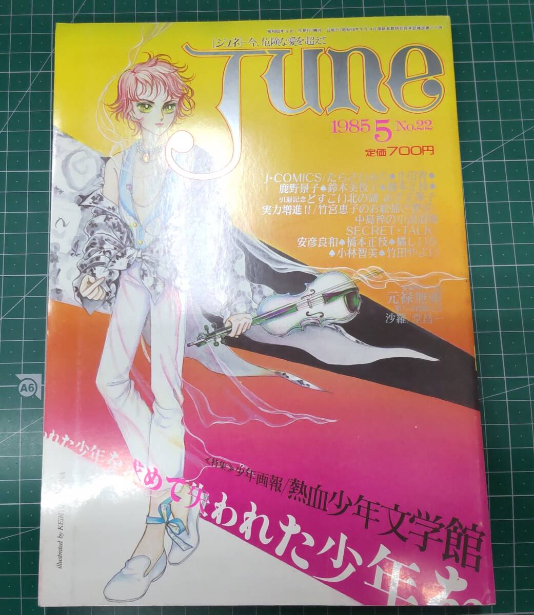 june ジュネ 1985年5月号 No.22 特集・失われた少年を求めて●H3712拍卖