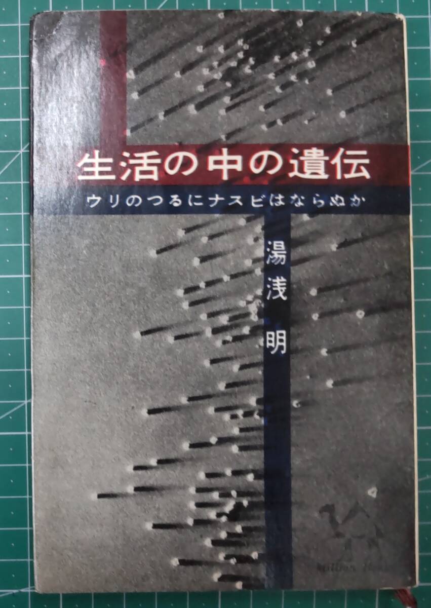 生活の中の遺伝 ウリのつるにナスビはならぬか 湯浅明 昭和34年初版 講談社 ミリオン・ブックス●H3705拍卖