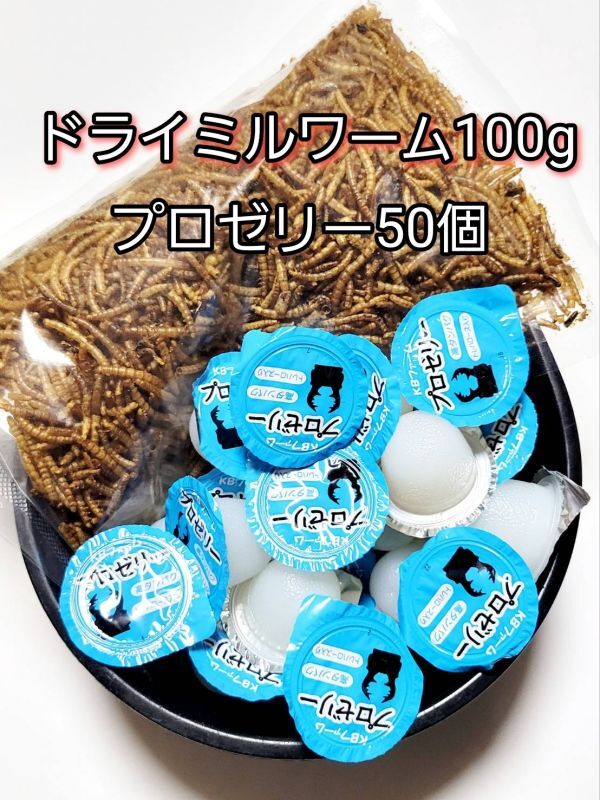 【送料無料】ドライミルワーム100g 国産 プロゼリー16g 50個 KBファーム 昆虫ゼリー カブトムシ クワガタ ハムスター等 小動物拍卖