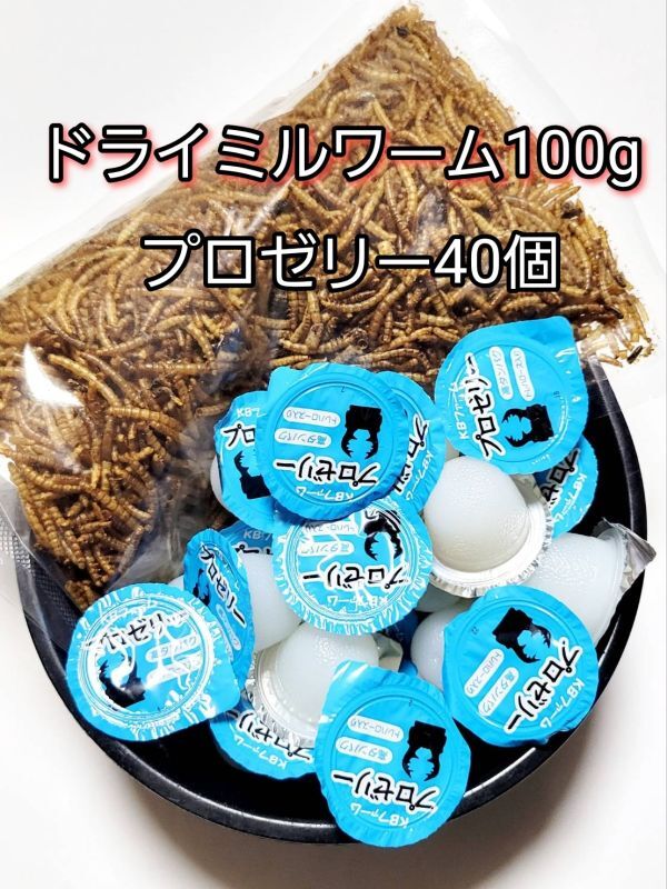 【送料無料】ドライミルワーム100g 国産 プロゼリー16g 40個 KBファーム 昆虫ゼリー カブトムシ クワガタ ハムスター等 小動物拍卖
