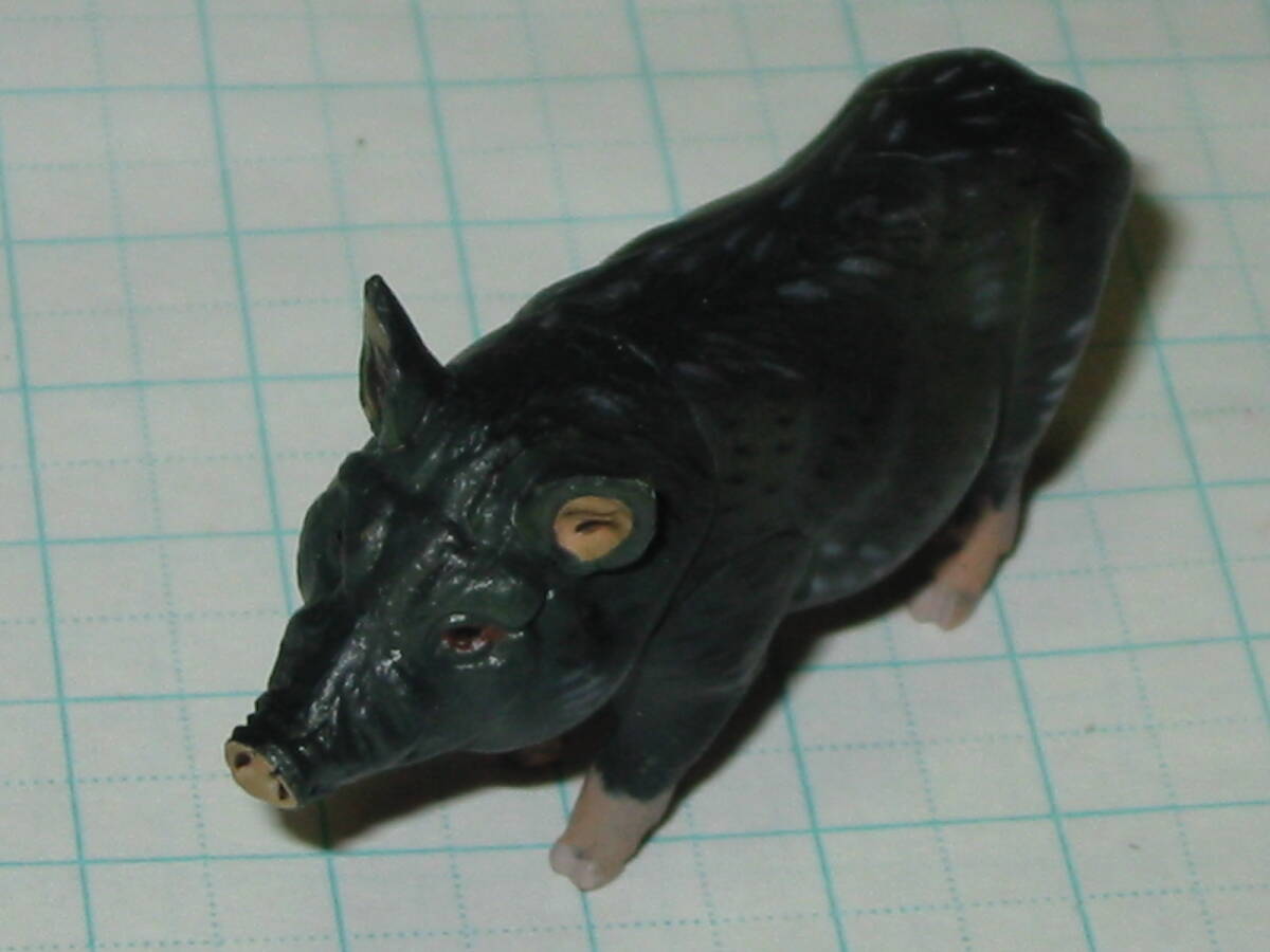 ★チョコQ☆ペット動物 第5弾 141「ミニブタ 黒」 検索用 チョコエッグ 拍卖