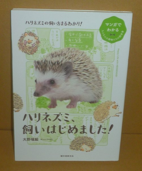 哺乳類:ネズミ2020『ハリネズミ、飼いはじめました!/マンガでわかるもふもふ小動物たちの飼育書』 大野瑞絵 著拍卖