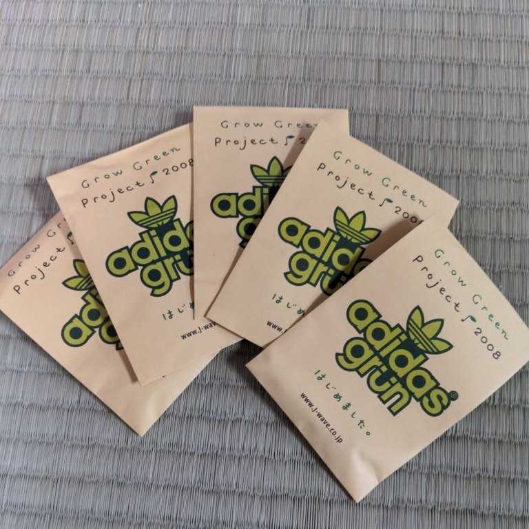 新品未開封 adidas アディダスオリジナルス ゴーヤ 種 ノベルティ 非売品 2008年拍卖