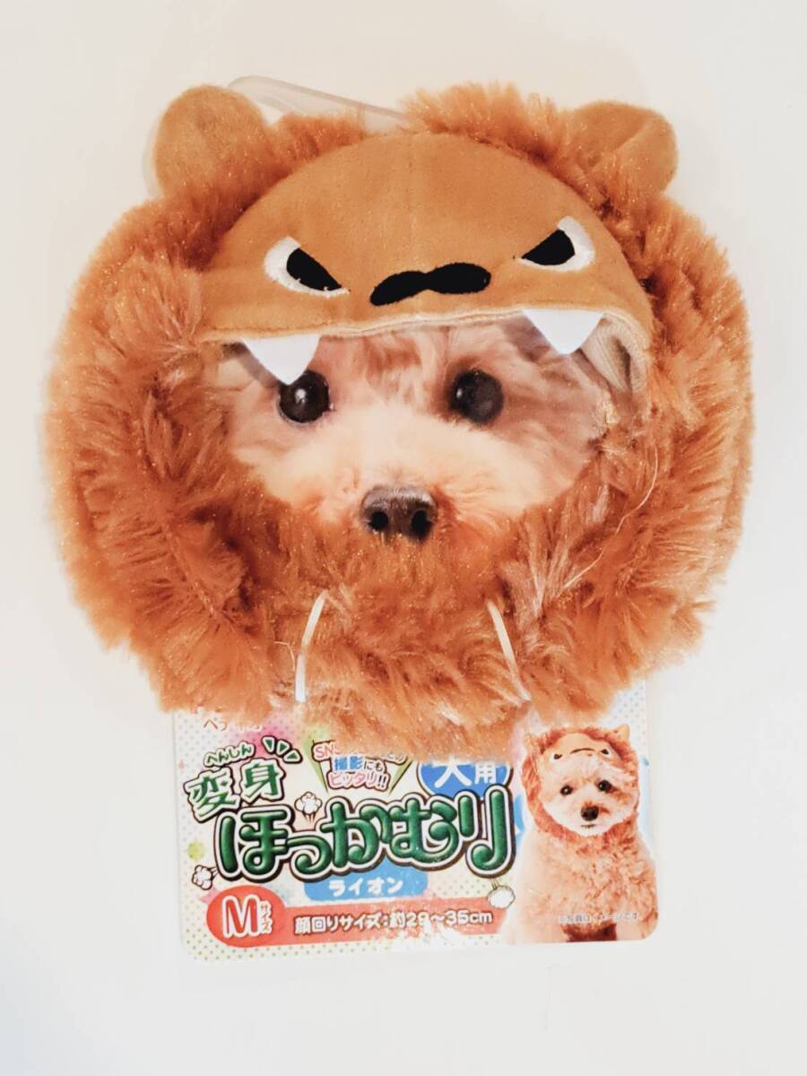 ペティオ 変身ほっかむり ライオン Mサイズ拍卖