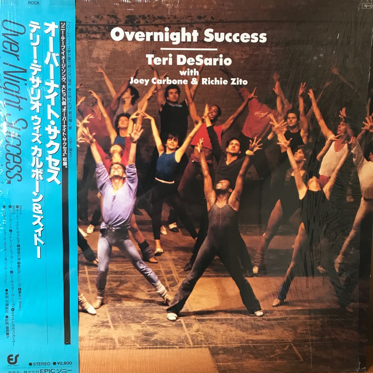 LP. TERI DESARIO WITH CARBONE & ZITO / Overnight Success テリーデサリオ拍卖