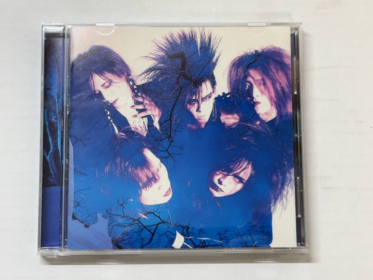 A23◎【CD】LUNA SEA ルナシー エクスタシーレコード FATE/TIME IS DEAD/SANDY TIME/BRANCH ROAD/SHADE/BLUE TRANSPARENCY/他 240503拍卖