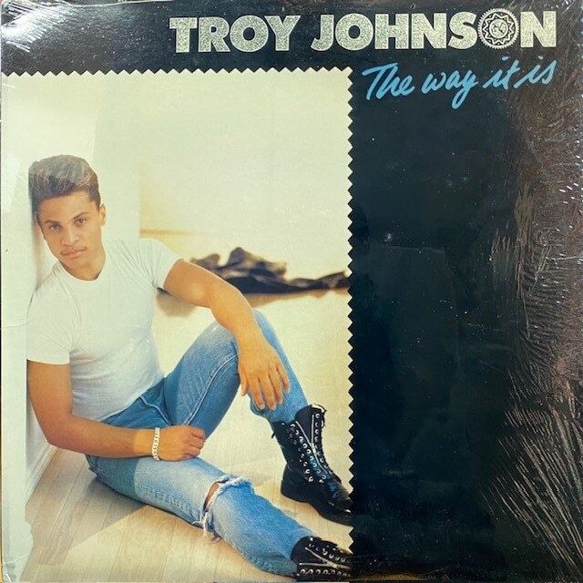 Troy Johnson - The Way It Is(★盤面極上品!)拍卖