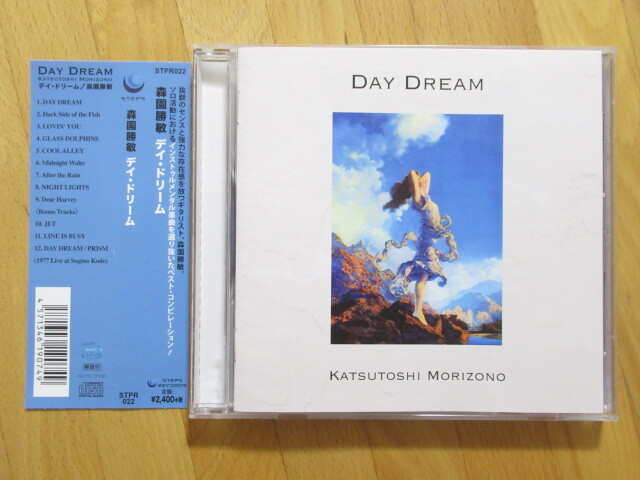 美品!森園勝敏 デイ・ドリーム Day Dream 【帯付CD】送料無料~拍卖