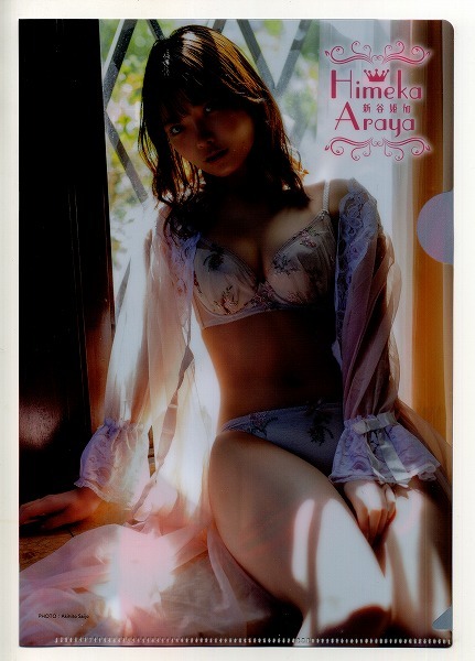 ヤングアニマル 2024年11号付録 新谷姫加 クリアファイル拍卖