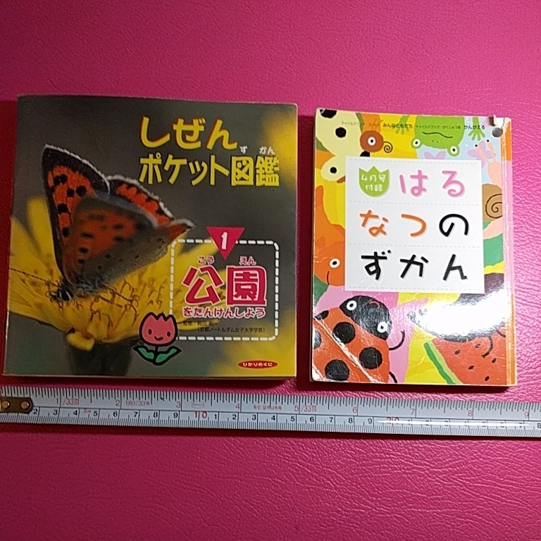 ◆USED◆【しぜんポケット図鑑 1公園をたんけんしよう】と【はる なつのずかん】の2冊拍卖