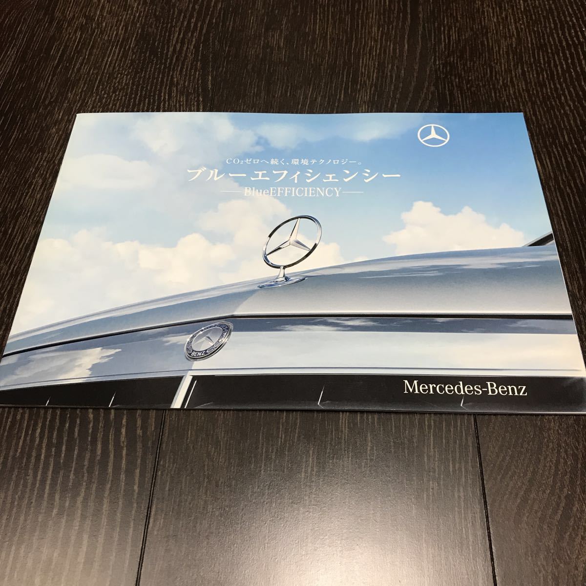【即決】ブルー エフィシェンシー バイオニックカー F700 F-Cell Blue ZERO 環境テクノロジーカタログ BlueEFFICIENCY 2010年 2月 ベンツ拍卖