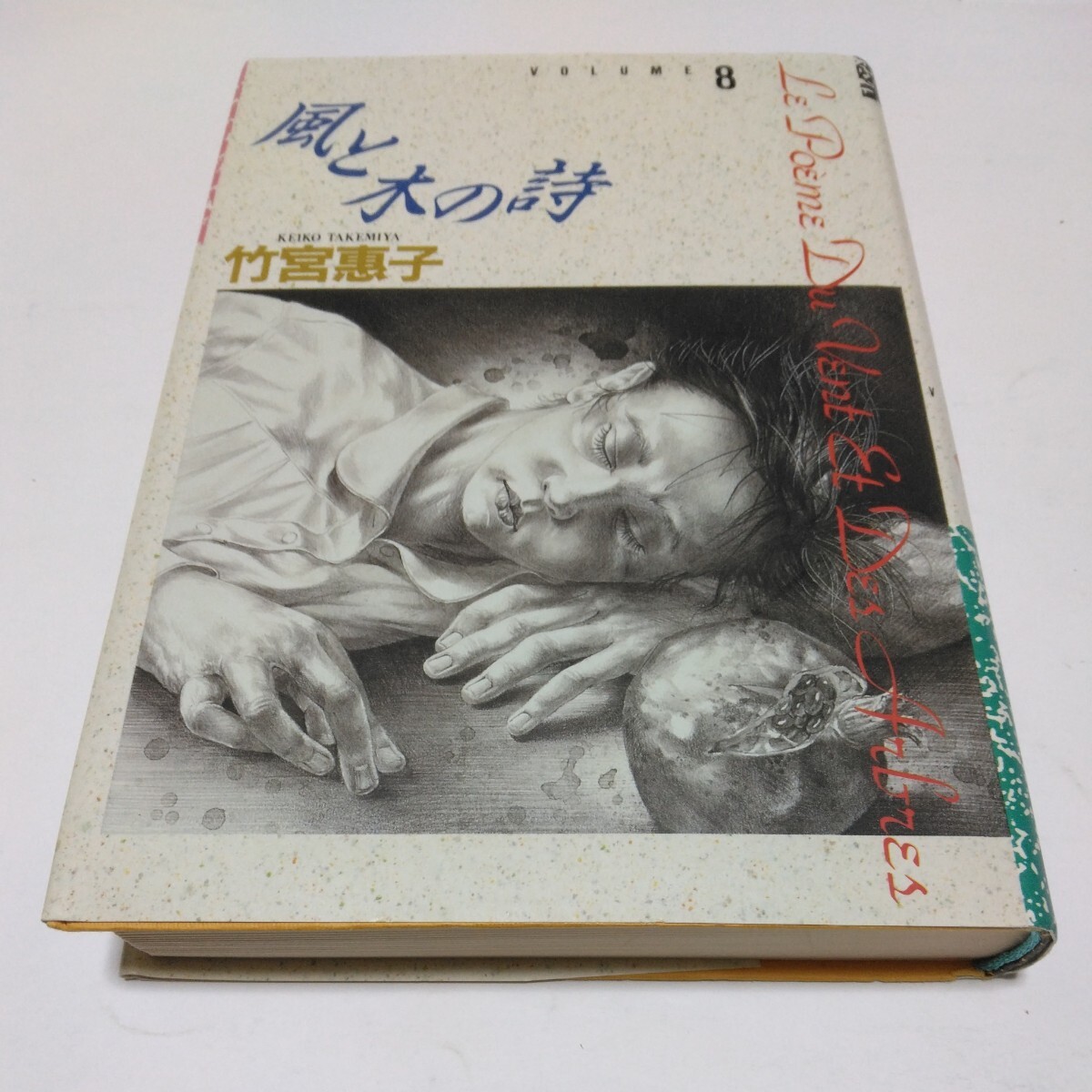 竹宮恵子 風と木の詩 8巻(初版本)小学館 当時品 保管品拍卖