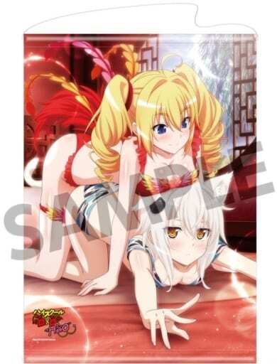 ハイスクール D X D HERO vol.3  子猫&レイヴェル(神獣遊戯B ver.) B2タペストリー ホビーストック 未開封品 送料無料拍卖