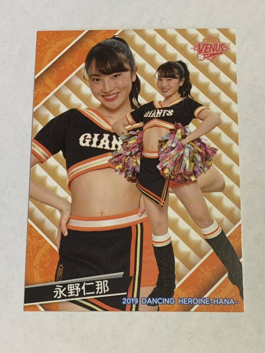 永野仁那 2019 BBM チアリーダー 華 #69 巨人 TEAM VENUS 即決拍卖