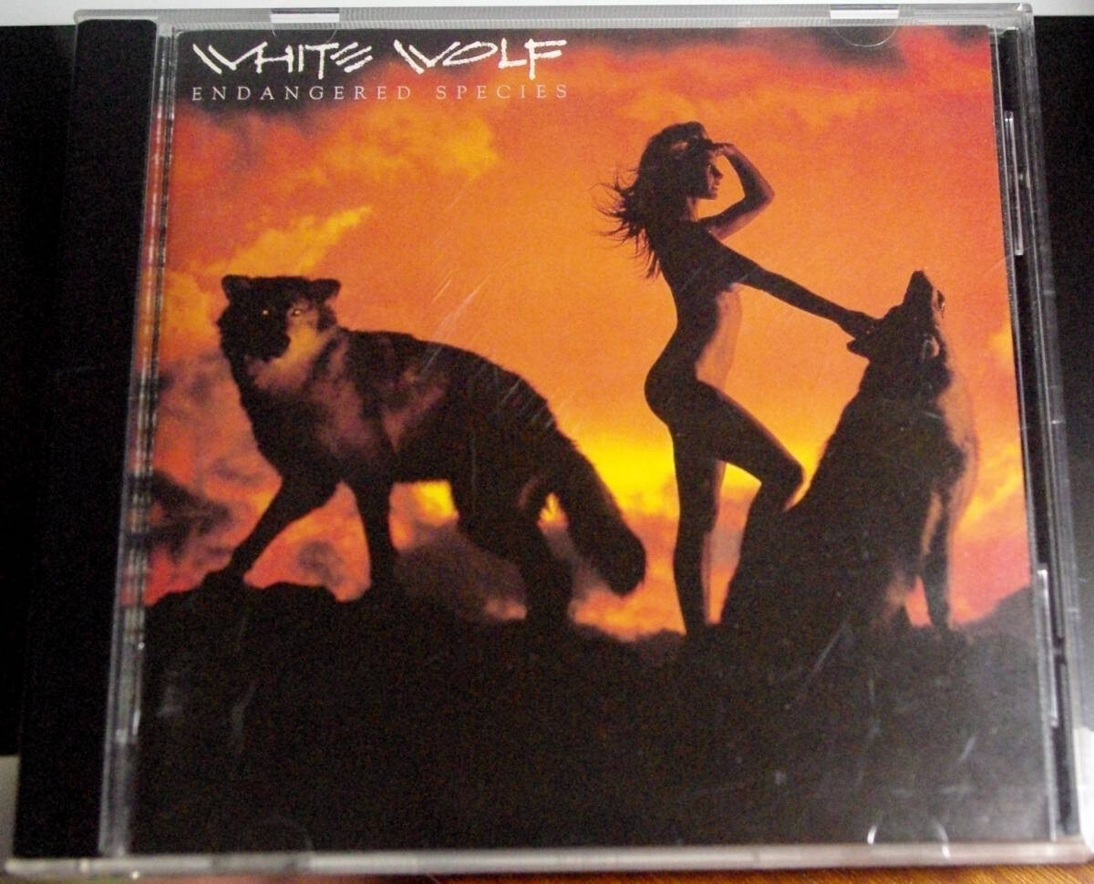 WHITE WOLF / ENDANGERED SPECIES拍卖