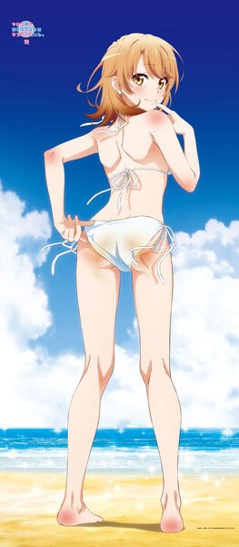 (新品)やはり俺の青春ラブコメはまちがっている。完 描き下ろし 海辺ビキニBIGタペストリーいろは拍卖